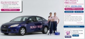 Pillars of Franchising sponsor - Molly Maid Aurora-Naperville