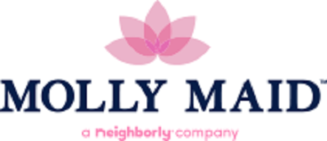 The Molly Chronicles – Moving from state employee to owner of Molly Maid of Southwest Cook County