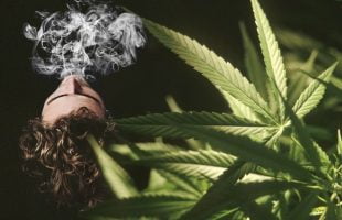 Buying a Cannabis franchise – One Cannabis isn’t blowing smoke.